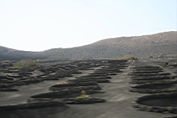 IMG_canaries_lanzarote_15695.JPG